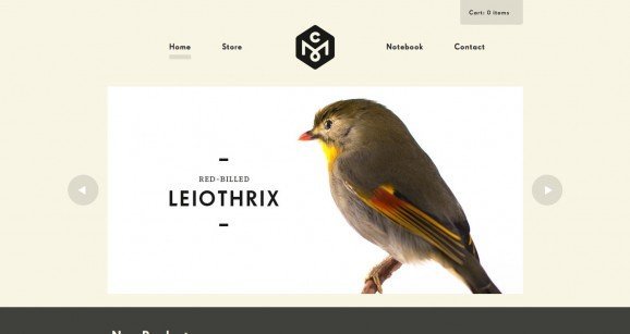 1-161020160P2553. 1-161020160P2553.jpg